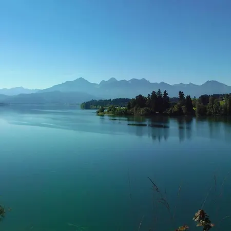 Neuschwansteinblick 108 *