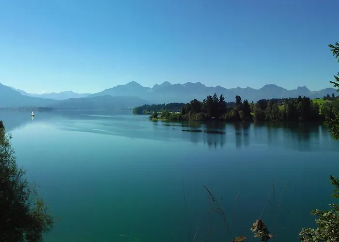 Neuschwansteinblick 108 *